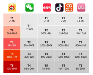 Key Influencer Distribution Across Major Social Platforms